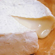 Camembert/ޥ١