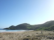 NZ�����ʥ����ȥɥ���