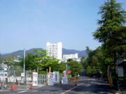 ���繩����ص��������ƥ๩�ز�