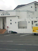 pizzeria e trattoria cervo