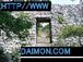 Daimon.com
