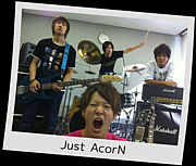 Just AcorN