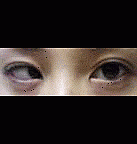 �Ҵ���ܤǤ��ޤ���