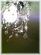 *�̎ߎ������ݺ���â�*