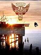 山口でスケボーしてる人の集い