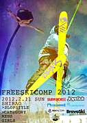 FREESKICOMP2012