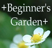 初心者の庭・Beginner's Garden