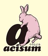 Ａcisum@ACTIVE ONE