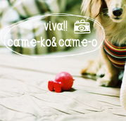 viva!!came-ko&came-o