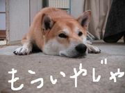 ��äƤ��͡���