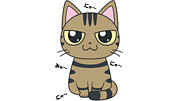 猫バカ／Crayz Cat
