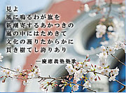 慶應通信2012年度生