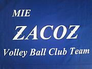 ZACOZ(���ގ�������)