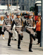 ドイツ民主共和国制服研究会