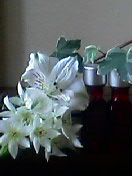 Yummy Nails & AROMANOA