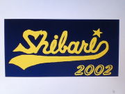 SHIBARI2002