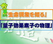 �ʥΥƥ����ޡ���������