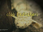 club       Endlicheri