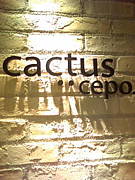 cactus･･cepo.京都TheCUBE店