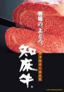 �ǹ����µ����ξ���