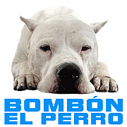 ボンボン Bombon El Perro