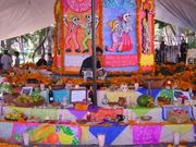 ��oyoacan������