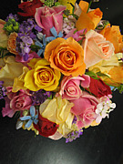 ラフォリア〜こころのは〜