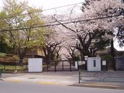 Ĵ���桡TEAM OLDIES