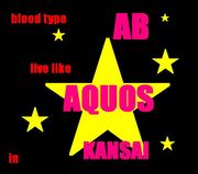 ＡＢ型アクオス系飲み会イン関西