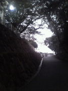 ��ĥ���ﵭ�ڲ�����η��ء��ԡ�