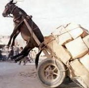 ��Ф����ˤʤäƤޤ���