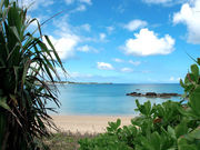 �ǲ��������ޤ���������