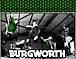 Burgworth