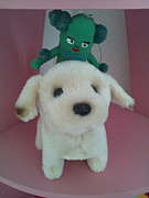 ���Ļ�/˭��ԡ��ޥ�ͧ�罸