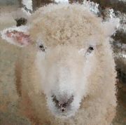 羊の手編み。