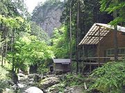 �Хåȥ쥹�����׾�