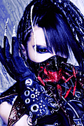 ������Lycaon��
