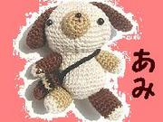 世の中の「あみ」ちゃん達