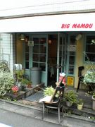 BIG MAMOU