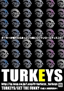 TURKEYS