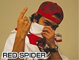 RED SPIDER