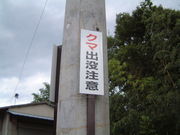 ¼