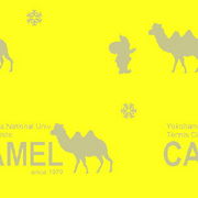 横国CAMEL