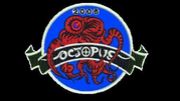 TEAMOCTOPUS