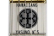 The Yasuno N5 Group