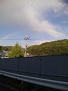 �ңɣӣţΡ�DOGTRAINING