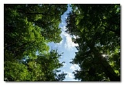 �ڰ�������ɡ���2012��