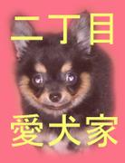 新宿二丁目愛犬家協会