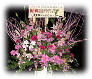 UVERworldを応援します−武道館