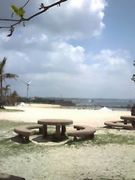 ��ʬ����Ǹ�ع� �ڲ���